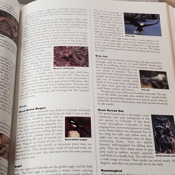 4 Wheel Adventures - Picture 6 of 7